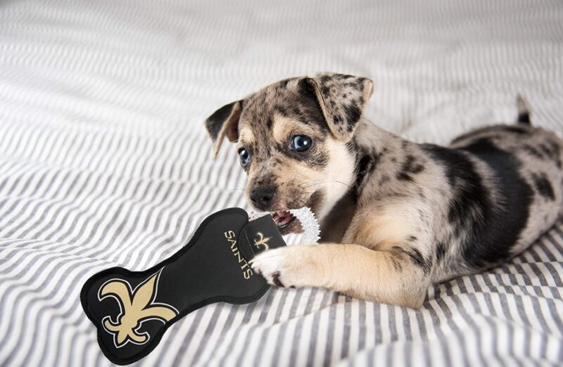 NFL Dog TUG - Image 2