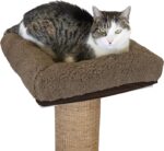 Cat Scratching Post